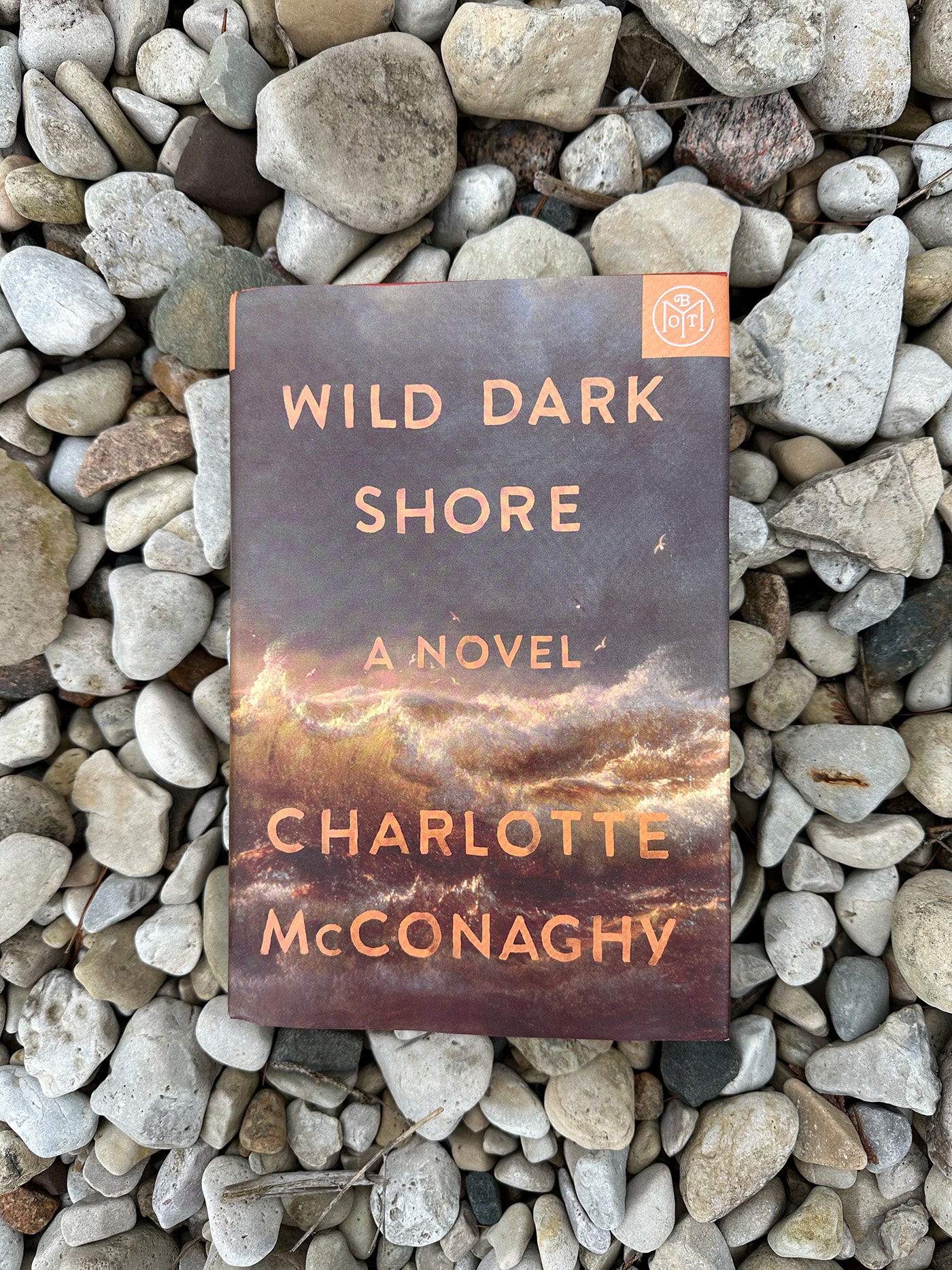 SSS Book Club: Wild Dark Shore بحث کنید